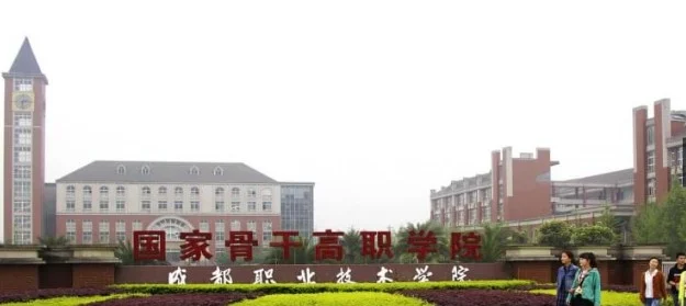 成都职业技术学院2025年高职单招录取最低分数线 2026报考策略