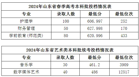 山东石油化工学院2024春考分数线