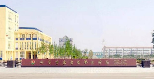 山东畜牧兽医职业学院2025春季高考分数线和人数