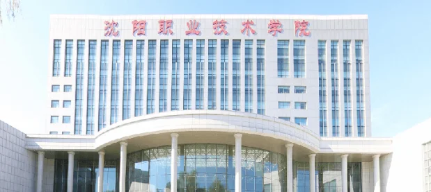 沈阳职业技术学院2025单招分数线