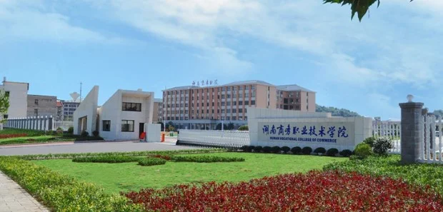 湖南商务职业技术学院2025单招分数线