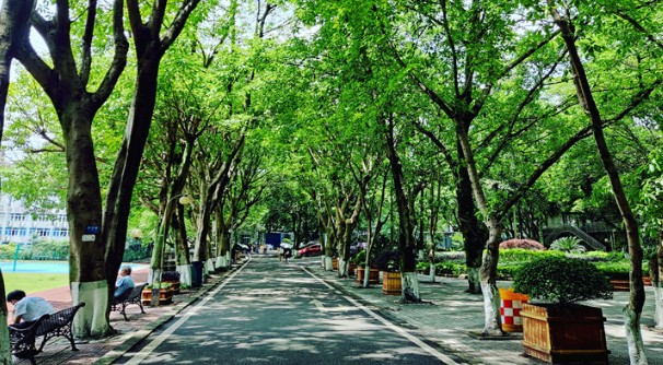 重庆电力高专校园风景 重庆电力高专校园风景