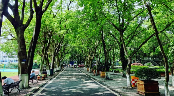 重庆电力高专校园风景