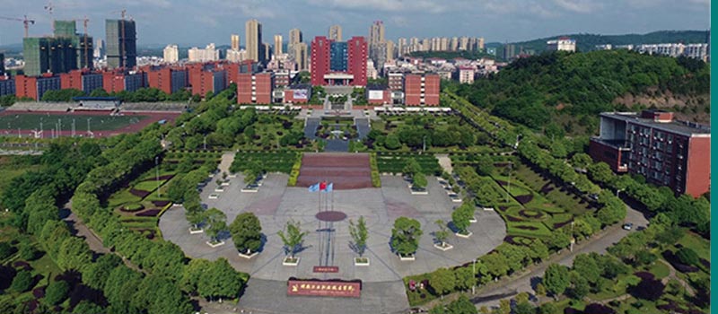 湖南工业职业技术学院全景
