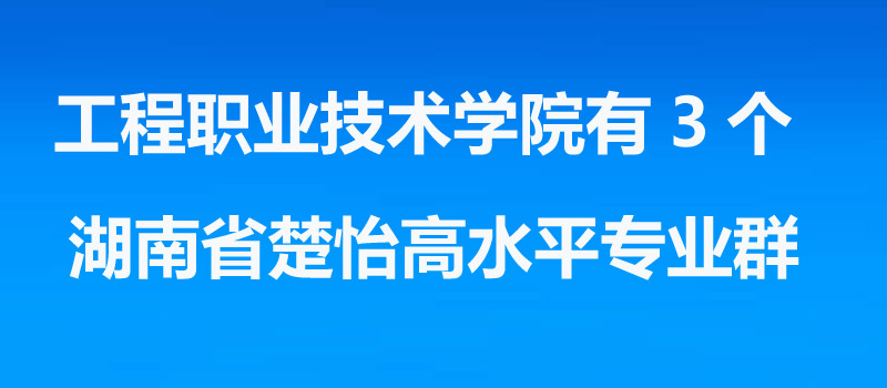 湖南工程职业技术学院2025单招分数线