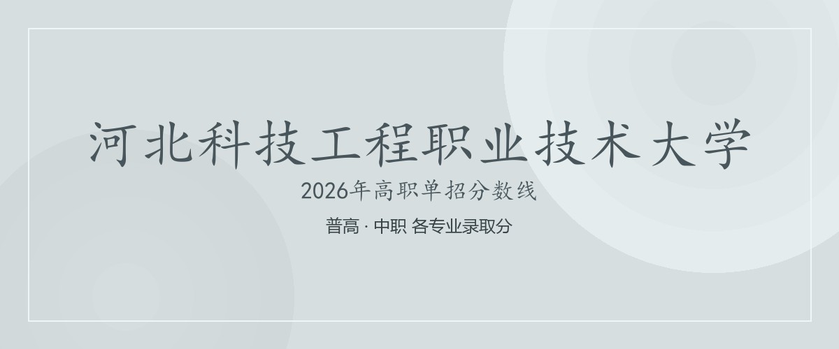 河北科技工程职业技术大学(中外合作办学)2026单招分数线